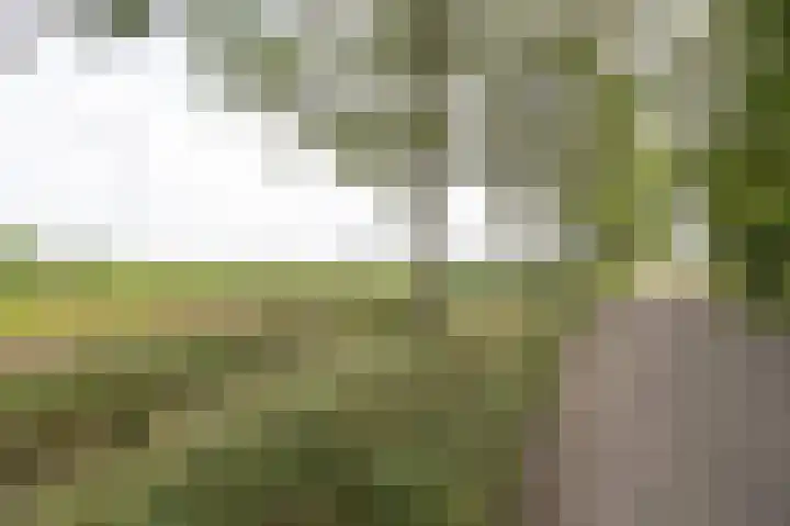 Grintweg 18 Breda thumbnail 61