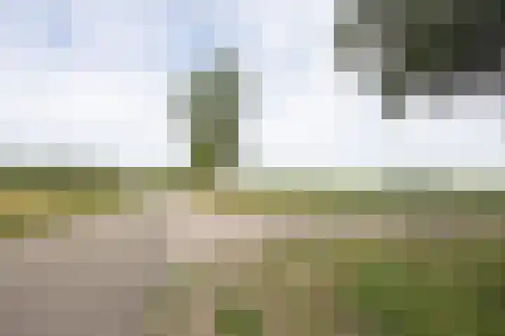 Grintweg 18 Breda thumbnail 62