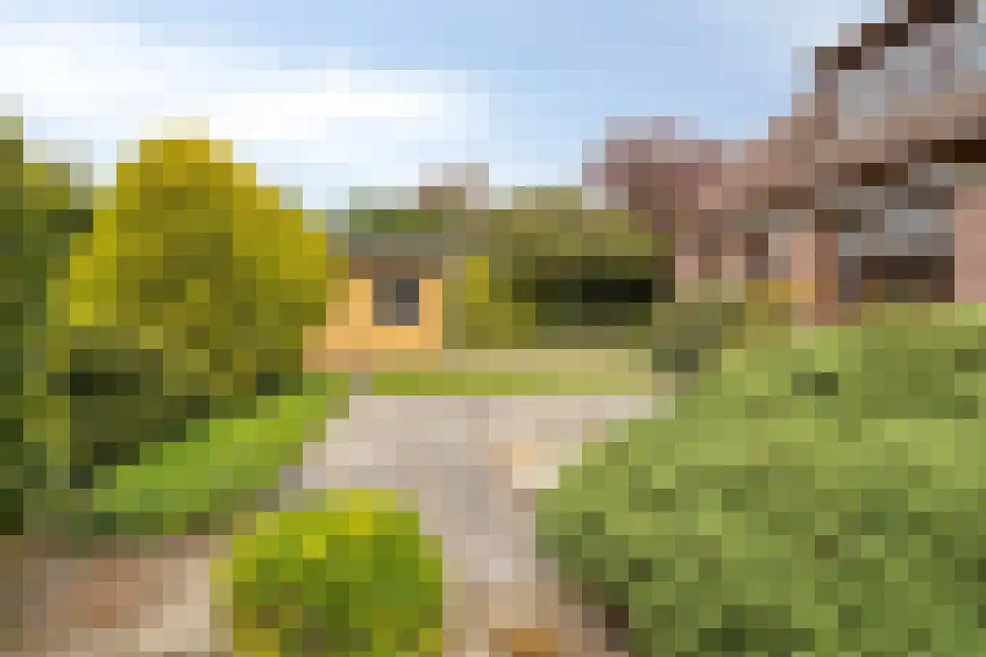 Grintweg 19 A Yerseke thumbnail 19