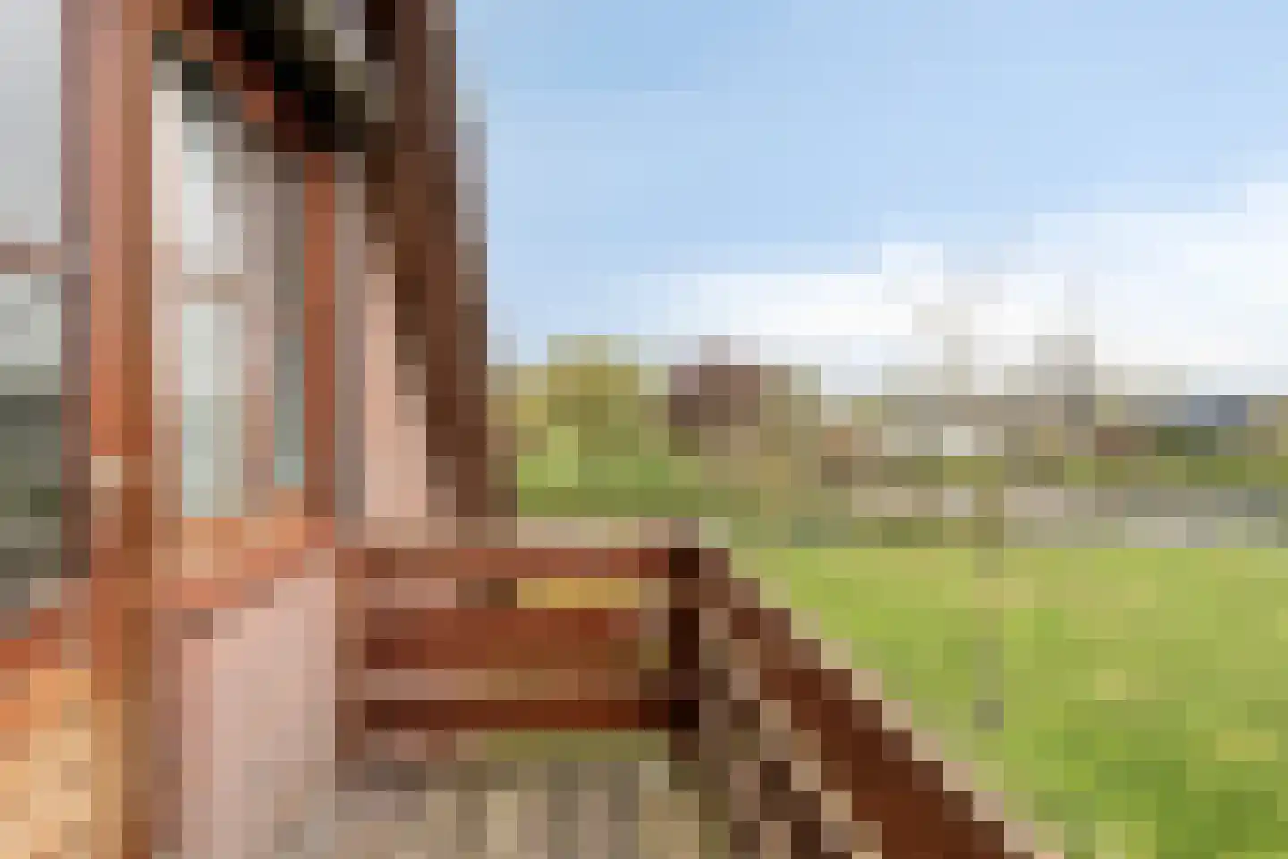 Grintweg 19 A Yerseke thumbnail 33