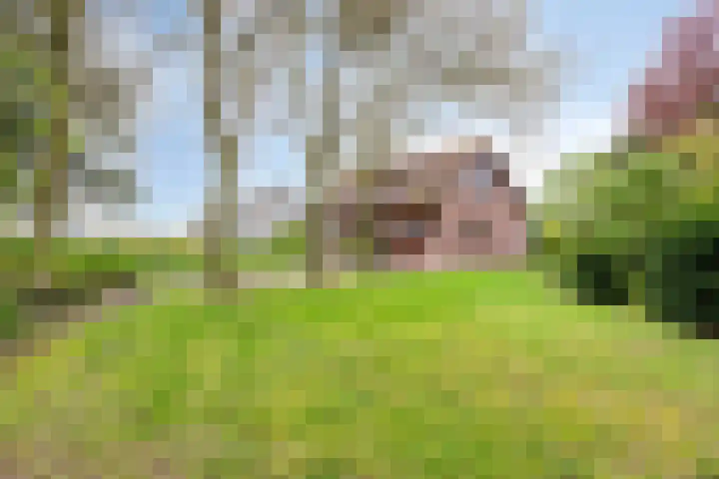 Grintweg 19 A Yerseke thumbnail 4