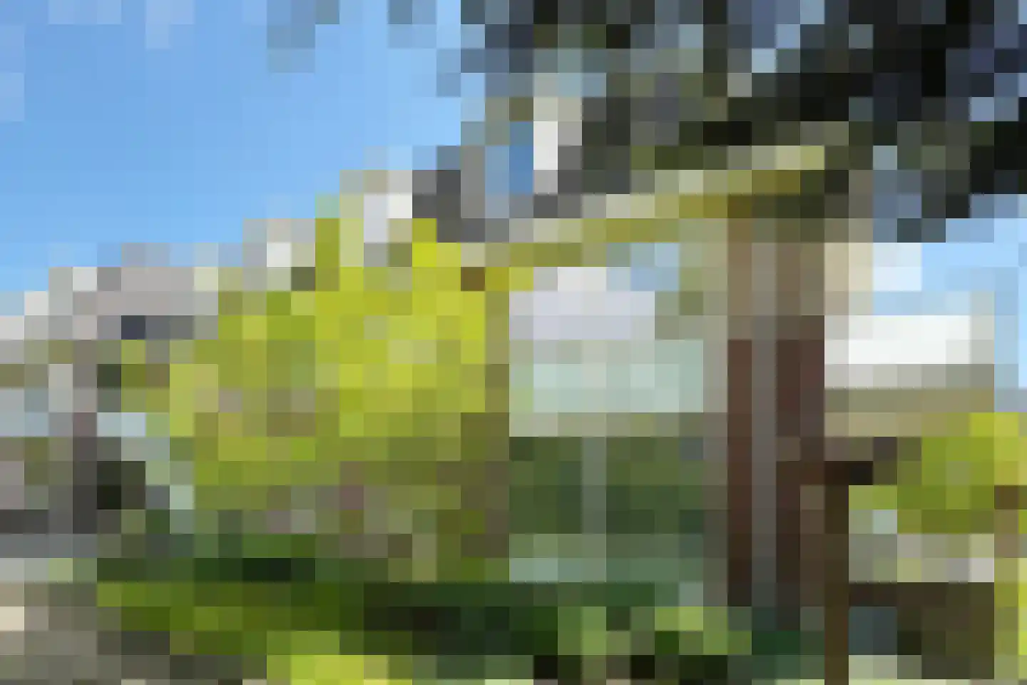 Grintweg 39 Moerdijk thumbnail 49
