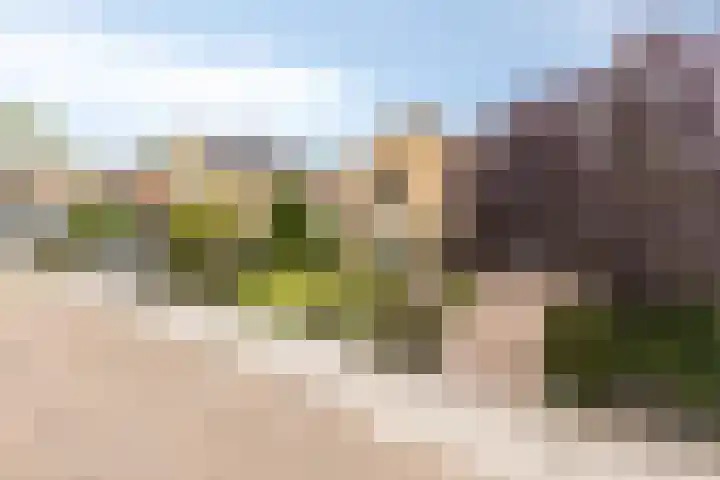 Grintweg 66 Moerdijk thumbnail 4