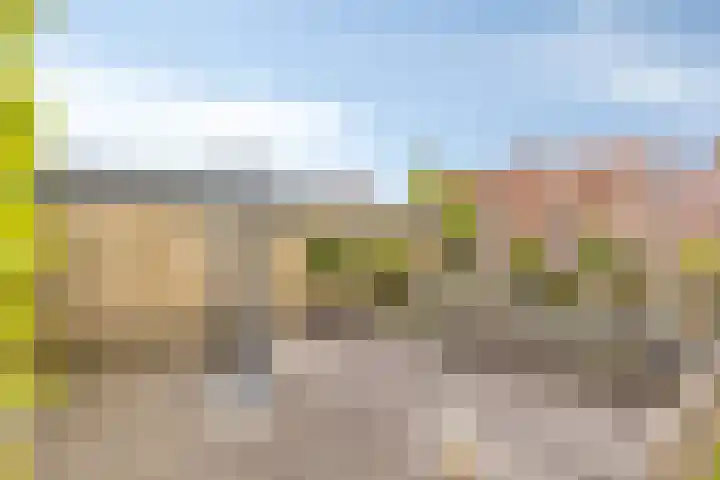 Grintweg 66 Moerdijk thumbnail 42