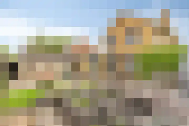 Grintweg 66 Moerdijk thumbnail 45