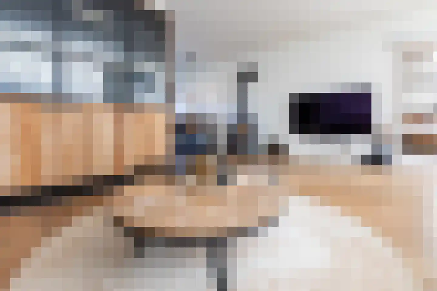 Gripkeshof 45 Halsteren thumbnail 11