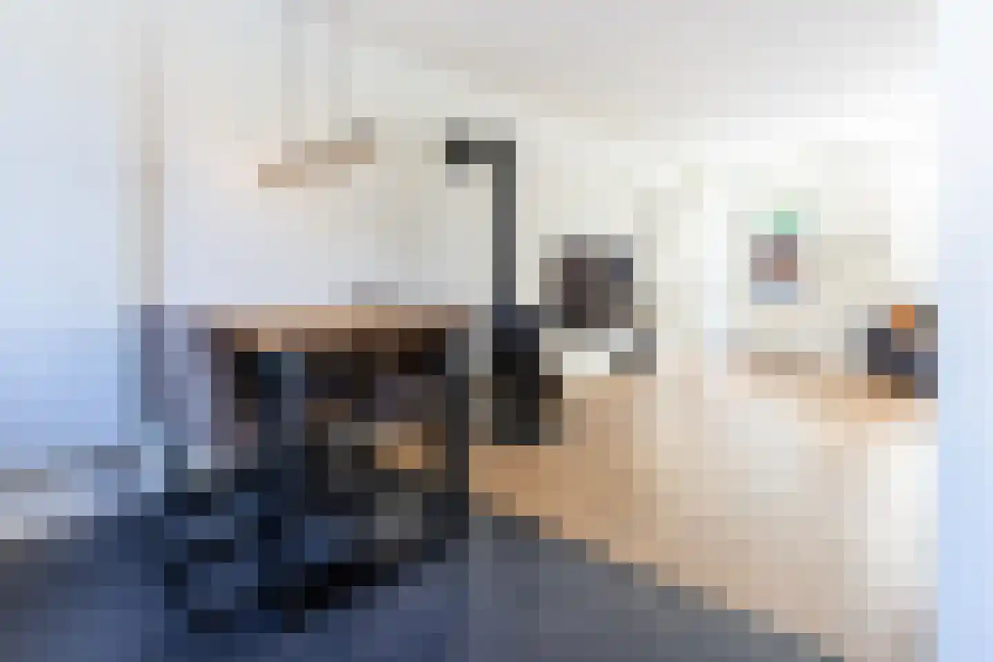 Gripkeshof 45 Halsteren thumbnail 21