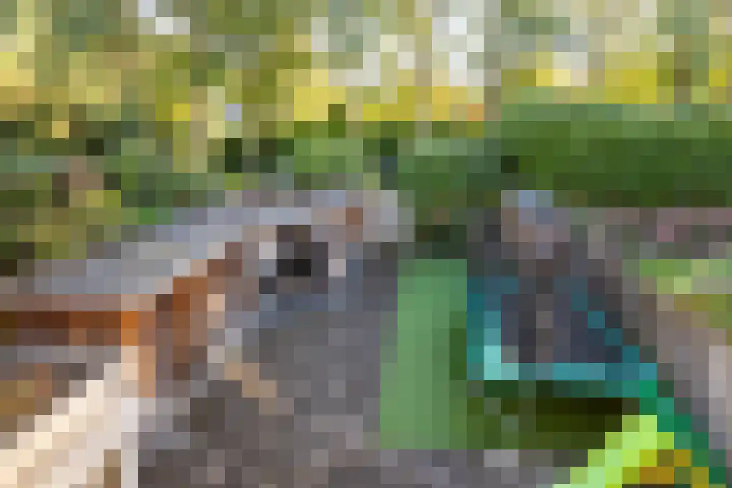 Gripkeshof 45 Halsteren thumbnail 43