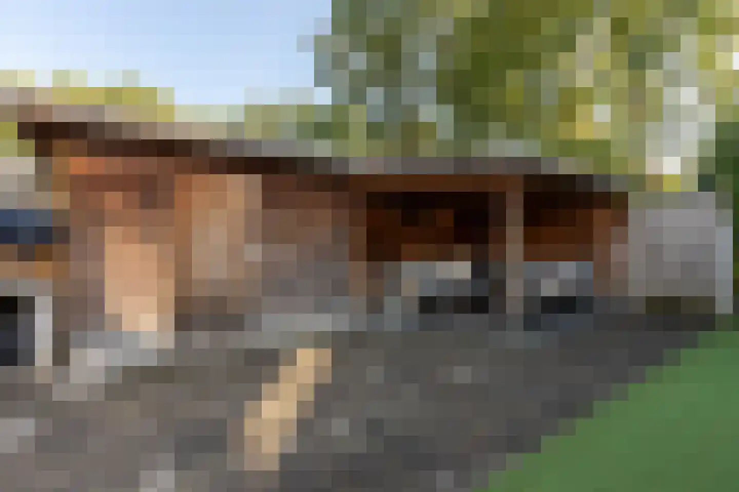 Gripkeshof 45 Halsteren thumbnail 46