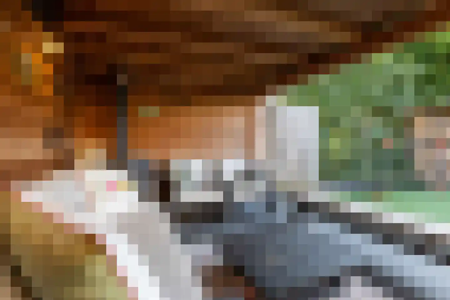 Gripkeshof 45 Halsteren thumbnail 50