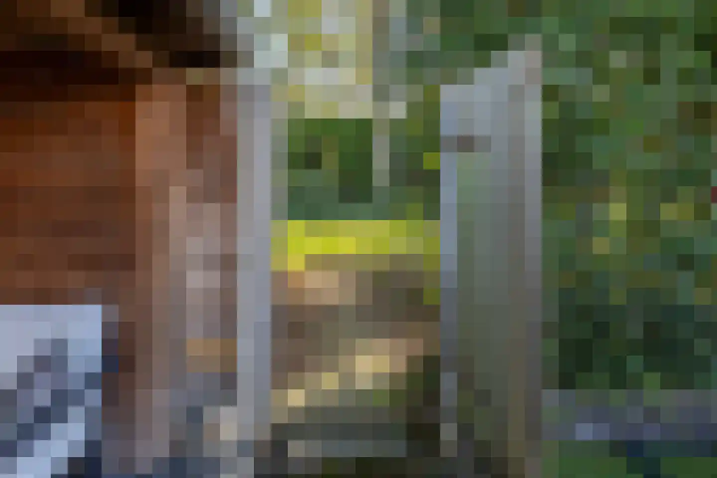 Gripkeshof 45 Halsteren thumbnail 52