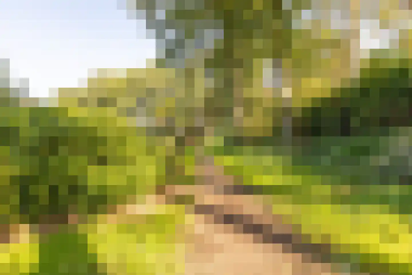 Gripkeshof 45 Halsteren thumbnail 53