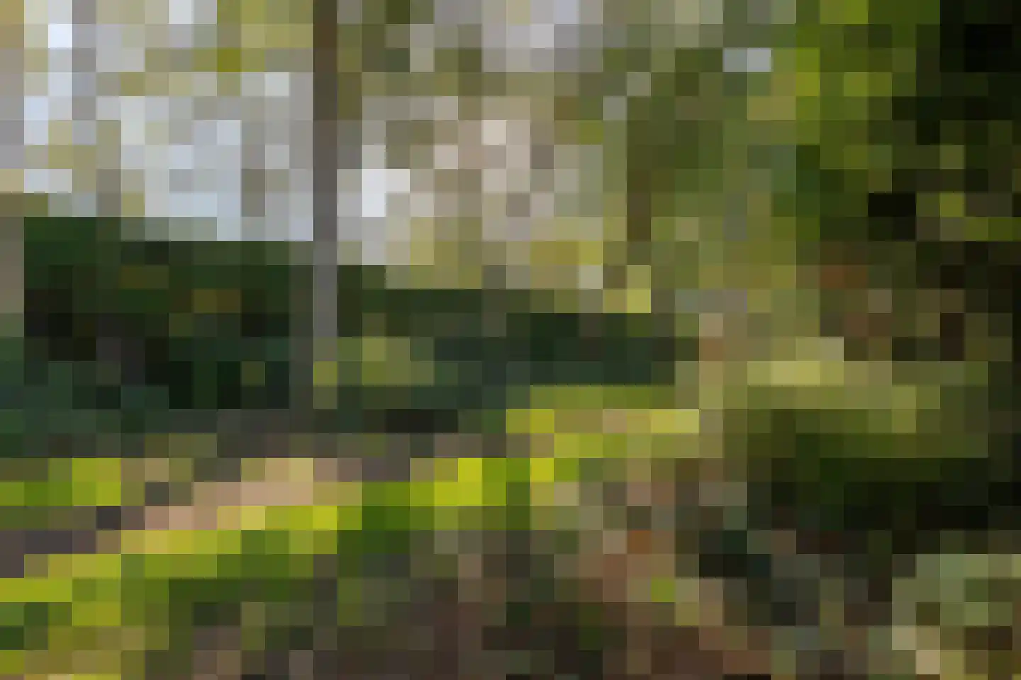 Gripkeshof 45 Halsteren thumbnail 54