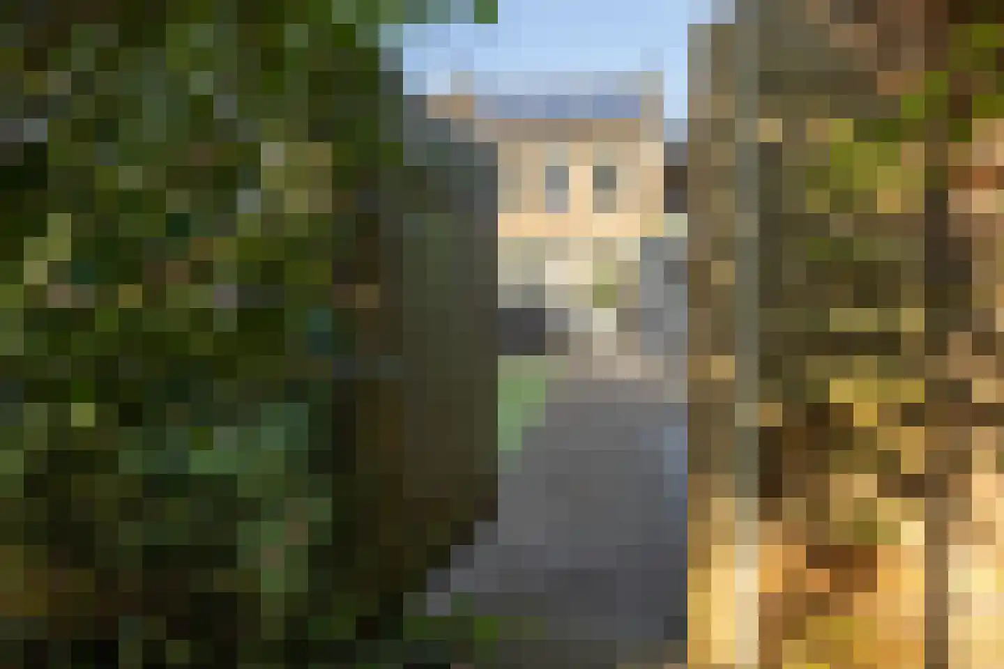 Gripkeshof 45 Halsteren thumbnail 55