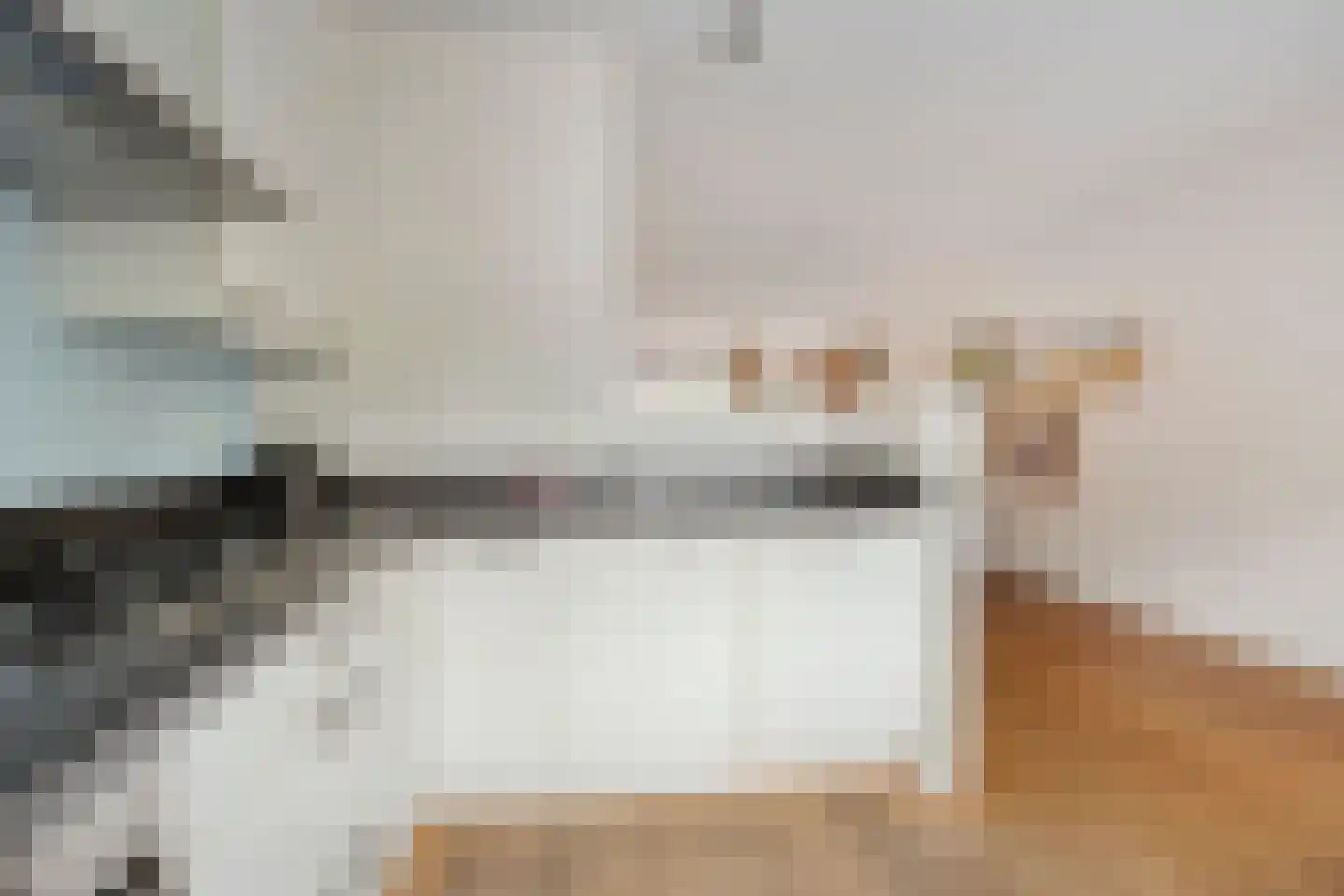 Gripper 4 Oss thumbnail 11