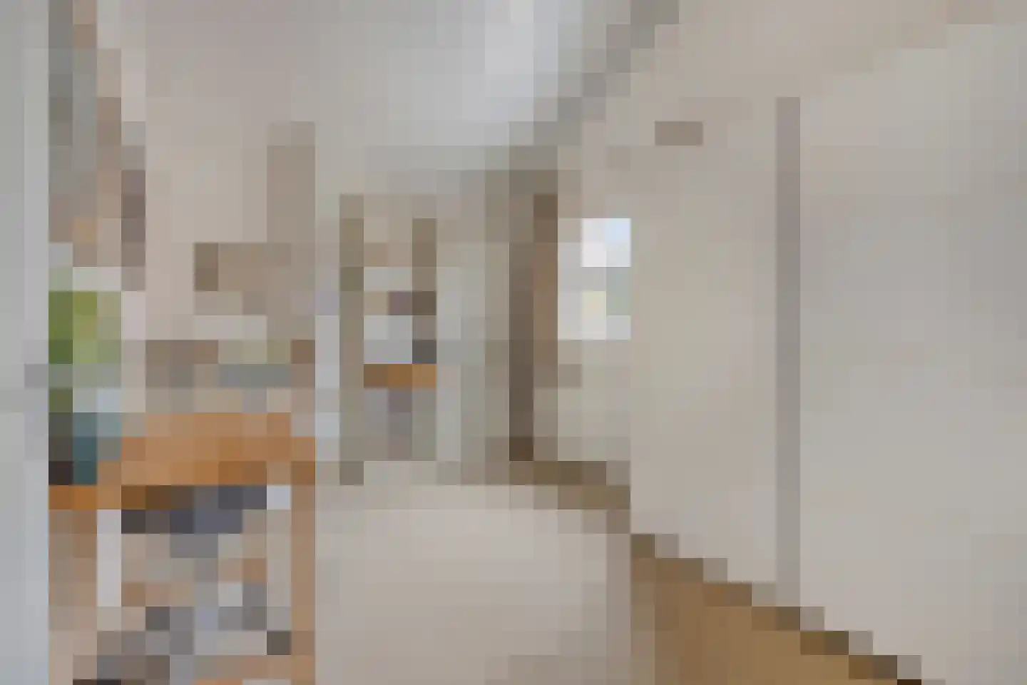 Gripper 4 Oss thumbnail 20