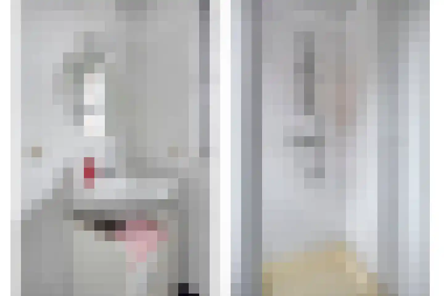 Gripper 4 Oss thumbnail 23
