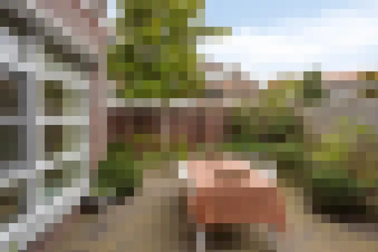 Gripper 4 Oss thumbnail 24