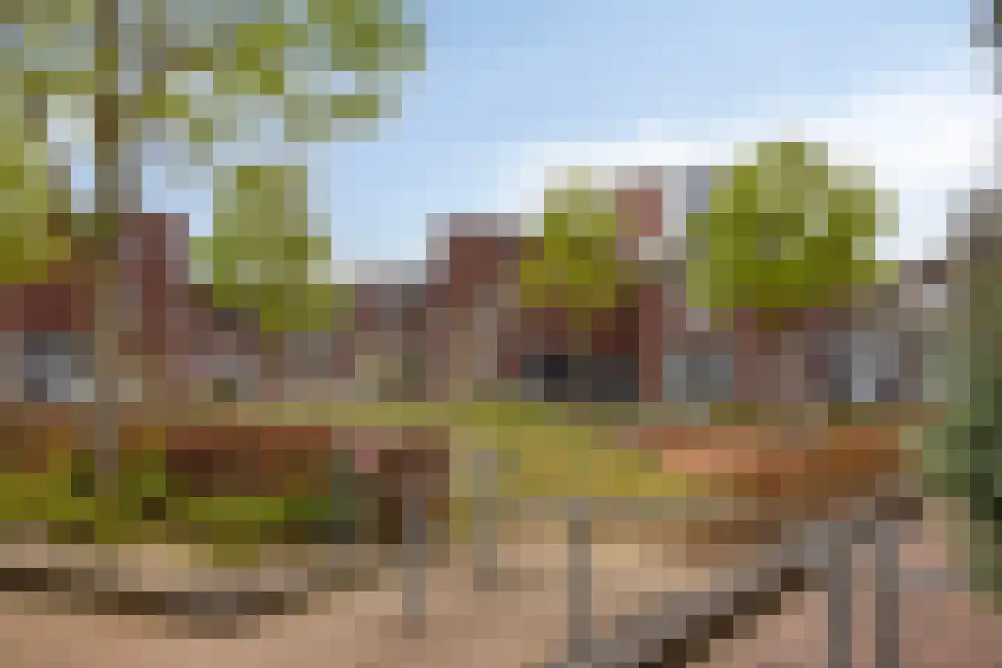 Gripper 4 Oss thumbnail 31