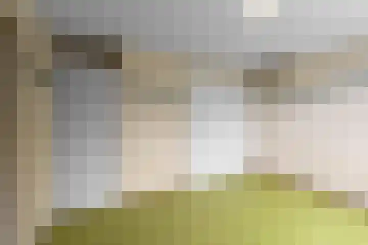 Gripvelden 19 Roosendaal thumbnail 21