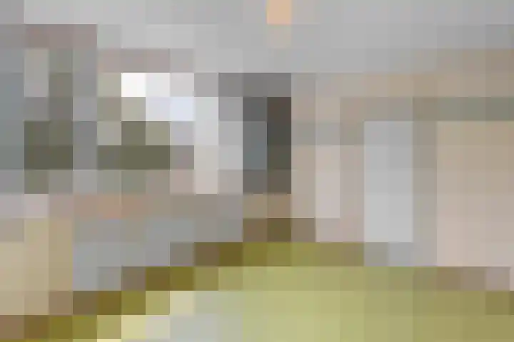 Gripvelden 19 Roosendaal thumbnail 4