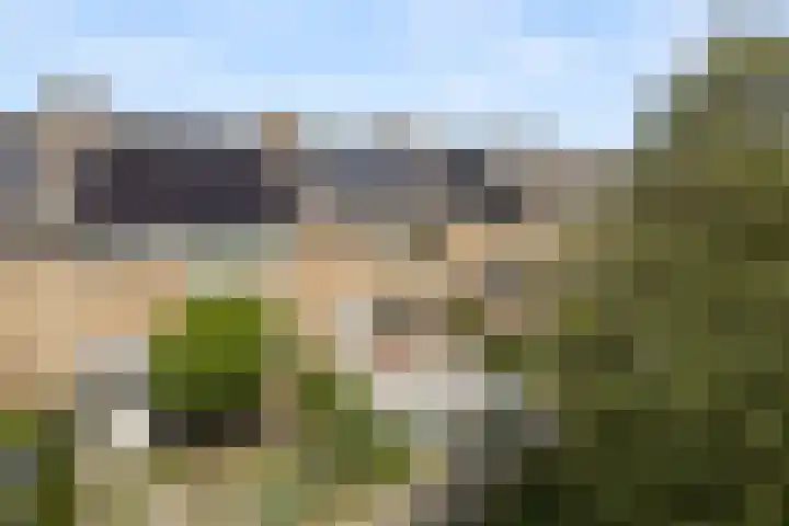 Gripvelden 19 Roosendaal thumbnail 46