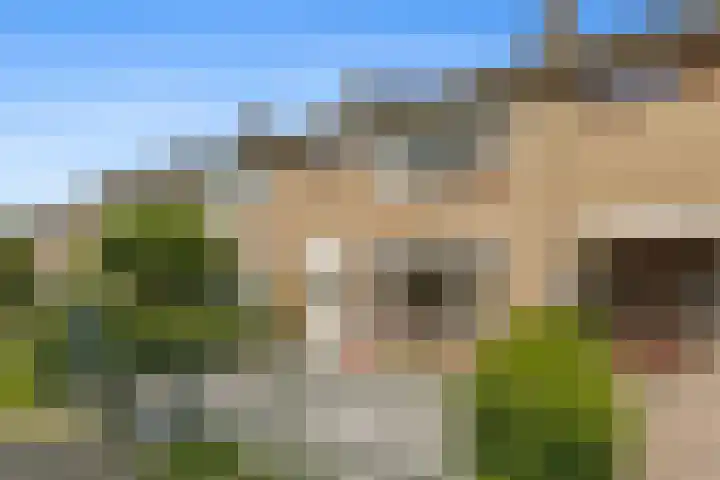 Gripvelden 19 Roosendaal thumbnail 47