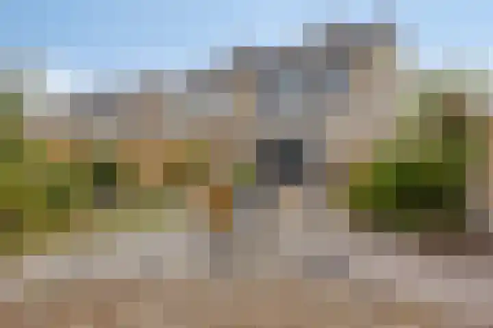 Gripvelden 31 Roosendaal thumbnail 37