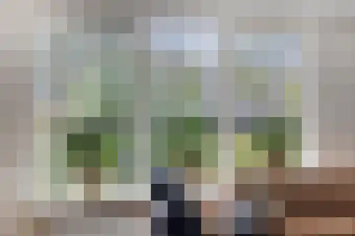 Gripvelden 31 Roosendaal thumbnail 8