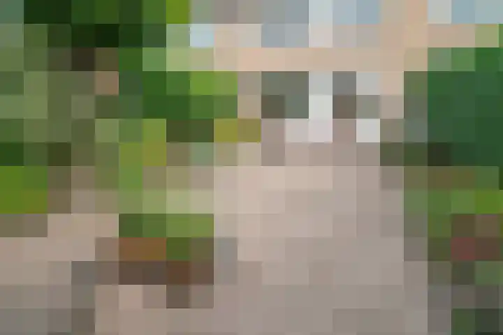 Gripvelden 77 Roosendaal thumbnail 32