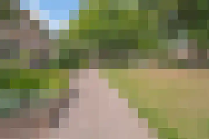 Gripvelden 77 Roosendaal thumbnail 42