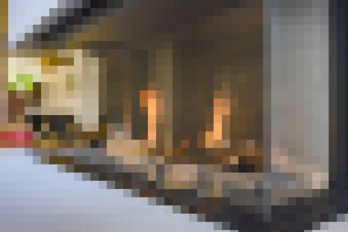 Griseldalaan 44 Nieuw-Vennep thumbnail 12