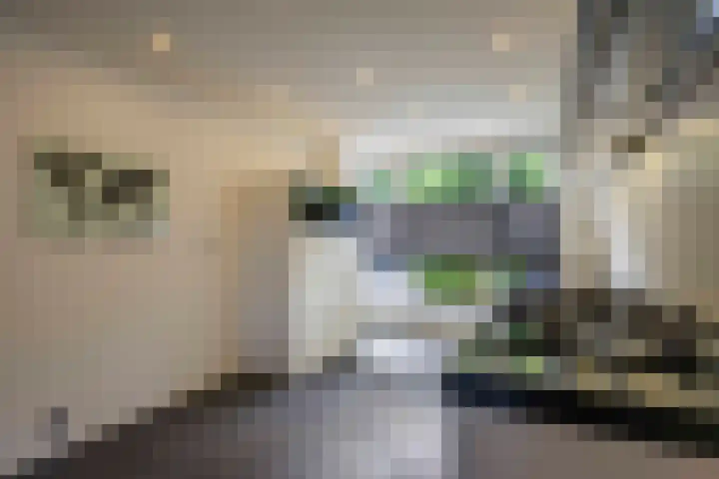 Griseldalaan 44 Nieuw-Vennep thumbnail 15