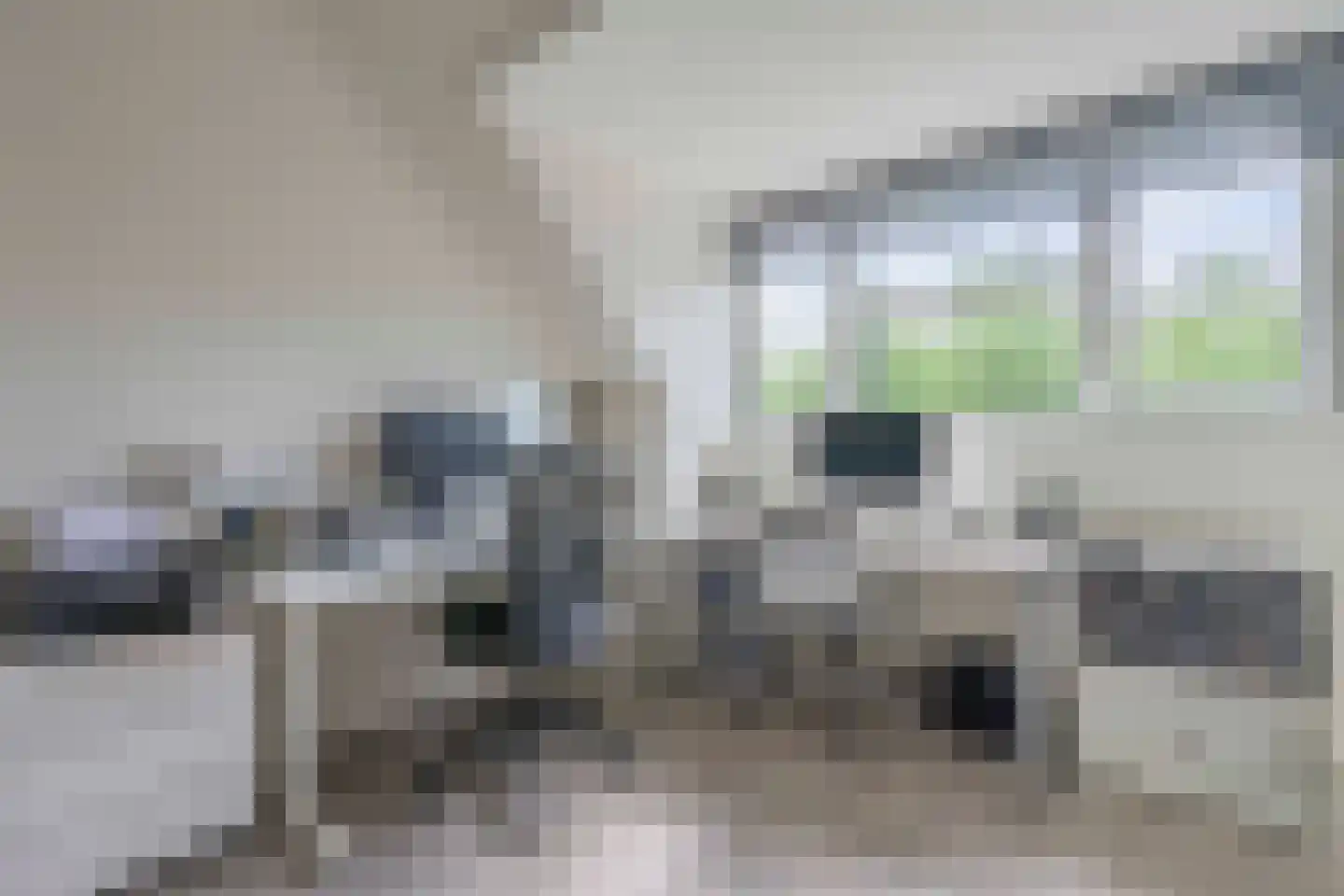 Griseldalaan 44 Nieuw-Vennep thumbnail 32