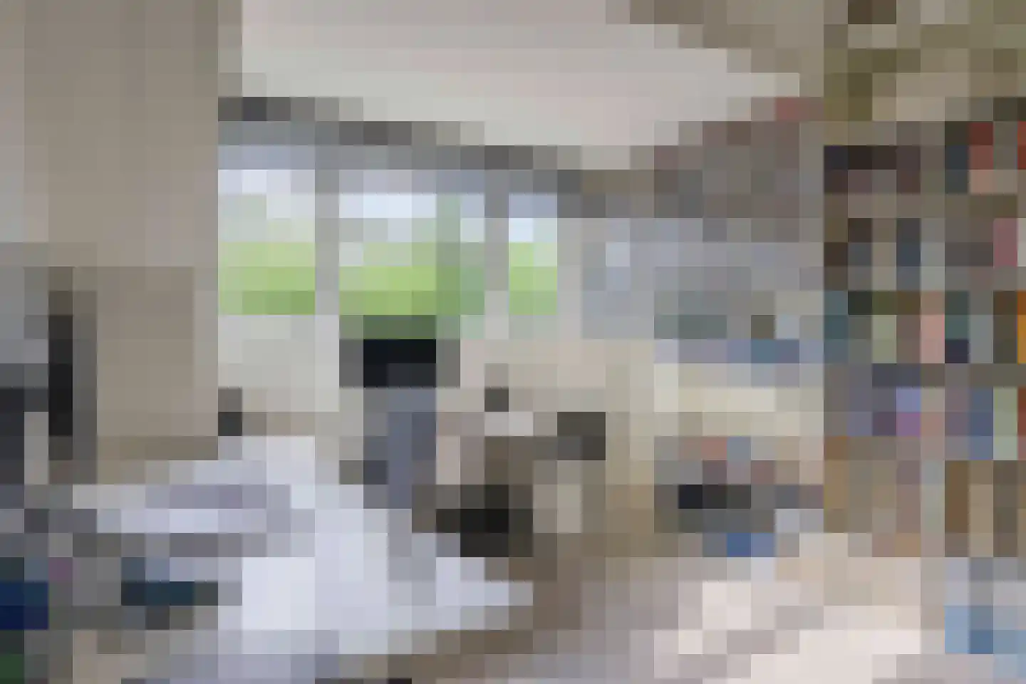 Griseldalaan 44 Nieuw-Vennep thumbnail 34
