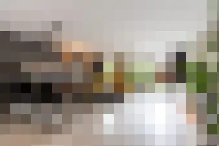 Griseldalaan 60 Nieuw-Vennep thumbnail 12