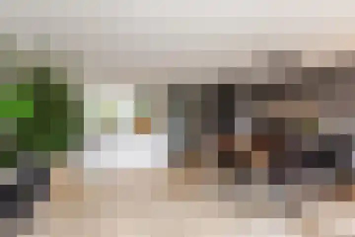 Griseldalaan 60 Nieuw-Vennep thumbnail 18