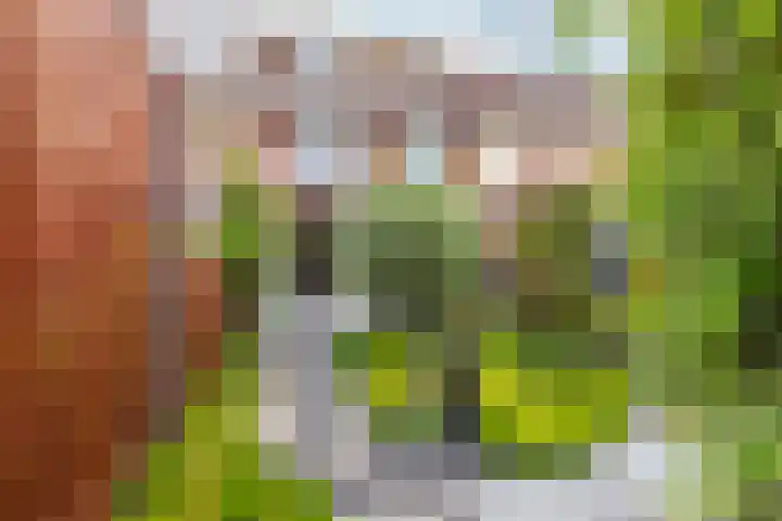 Griseldalaan 60 Nieuw-Vennep thumbnail 25