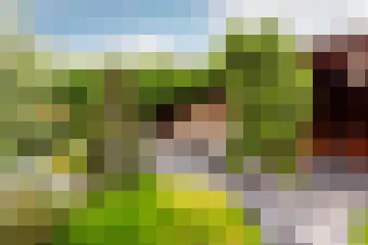 Griseldalaan 60 Nieuw-Vennep thumbnail 26