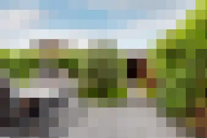 Griseldalaan 60 Nieuw-Vennep thumbnail 28