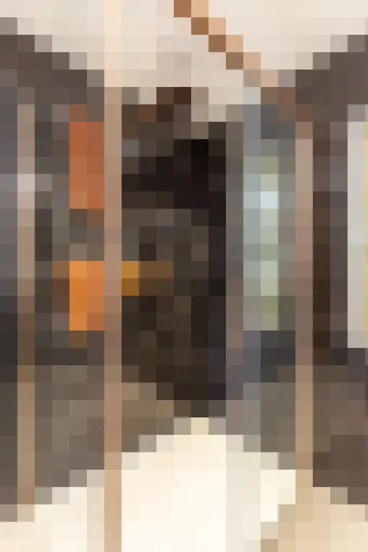 Griseldalaan 60 Nieuw-Vennep thumbnail 36