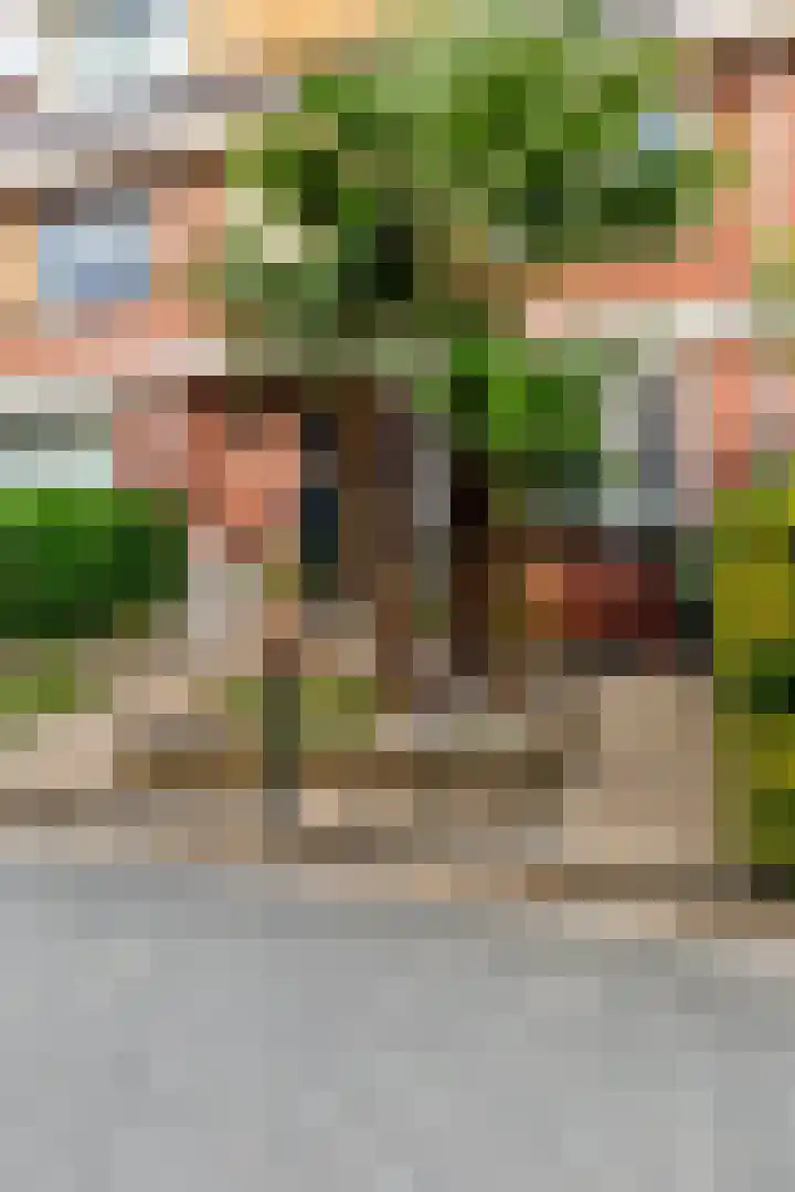 Griseldalaan 60 Nieuw-Vennep thumbnail 44