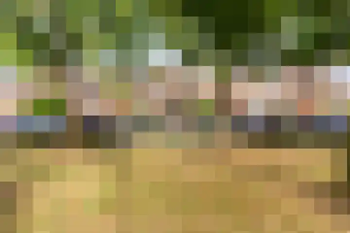 Griseldalaan 60 Nieuw-Vennep thumbnail 6