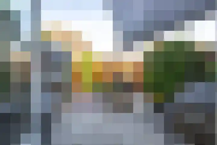 Griseldalaan 74 Nieuw-Vennep thumbnail 32