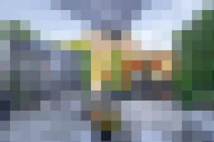 Griseldalaan 74 Nieuw-Vennep thumbnail 33