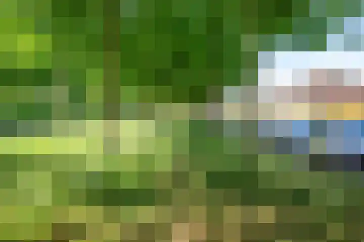 Griseldalaan 74 Nieuw-Vennep thumbnail 35