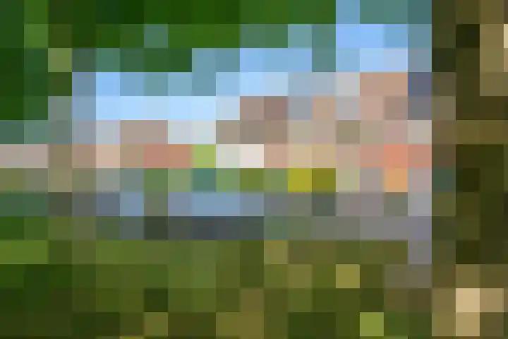 Griseldalaan 74 Nieuw-Vennep thumbnail 6