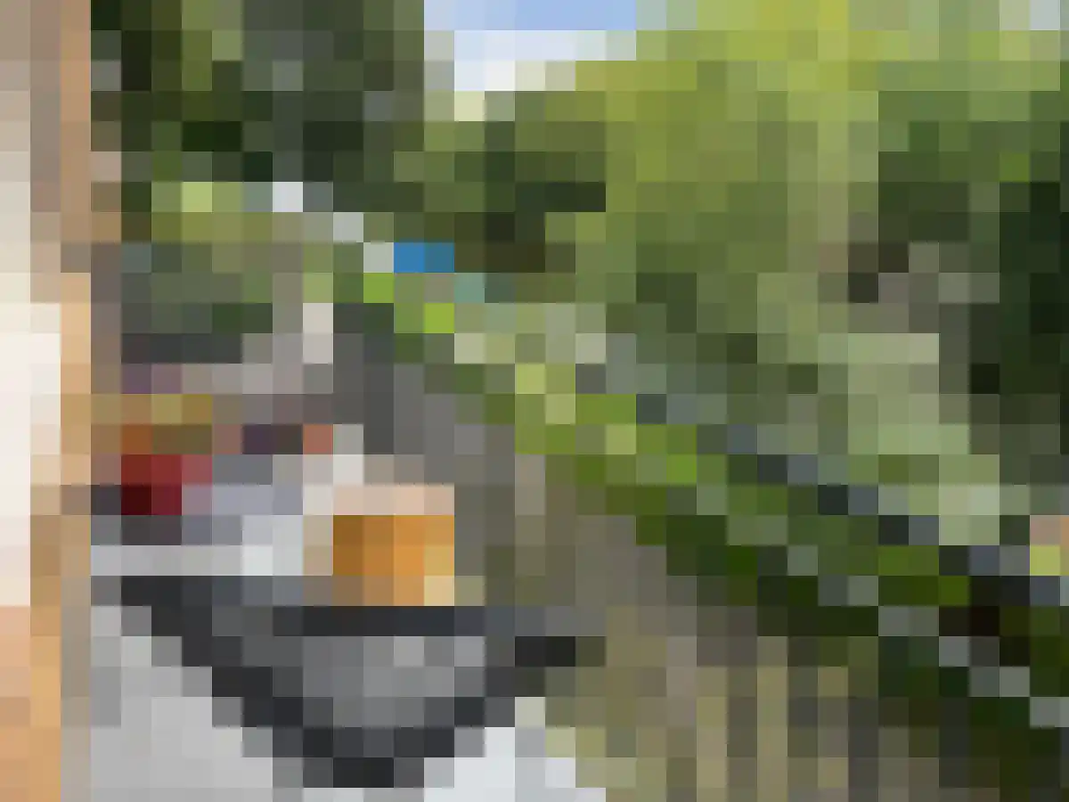 Griseldestraat 1 Amsterdam thumbnail 6
