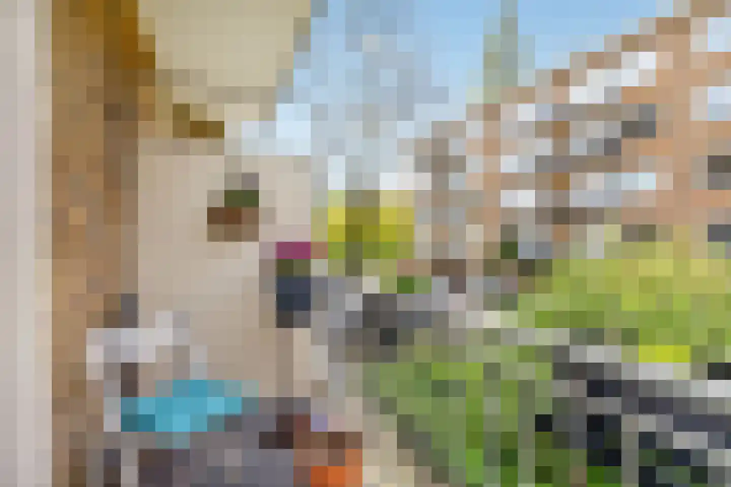 Griseldestraat 12 3 Amsterdam thumbnail 13