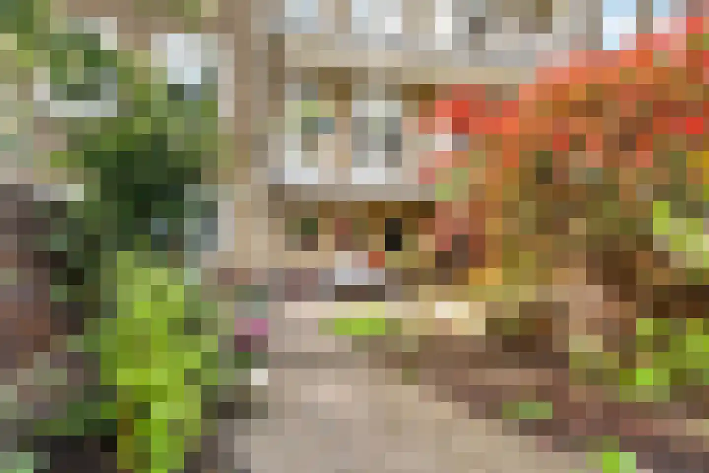 Griseldestraat 12 3 Amsterdam thumbnail 31